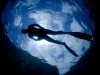 free diver siluete